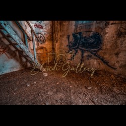 URBEX - 010