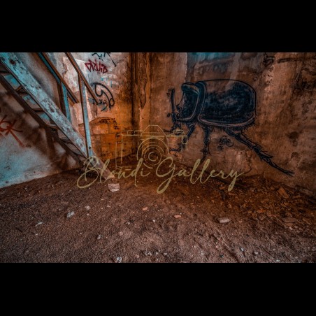 URBEX - 010