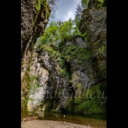 FRANCE 003 - Cantal